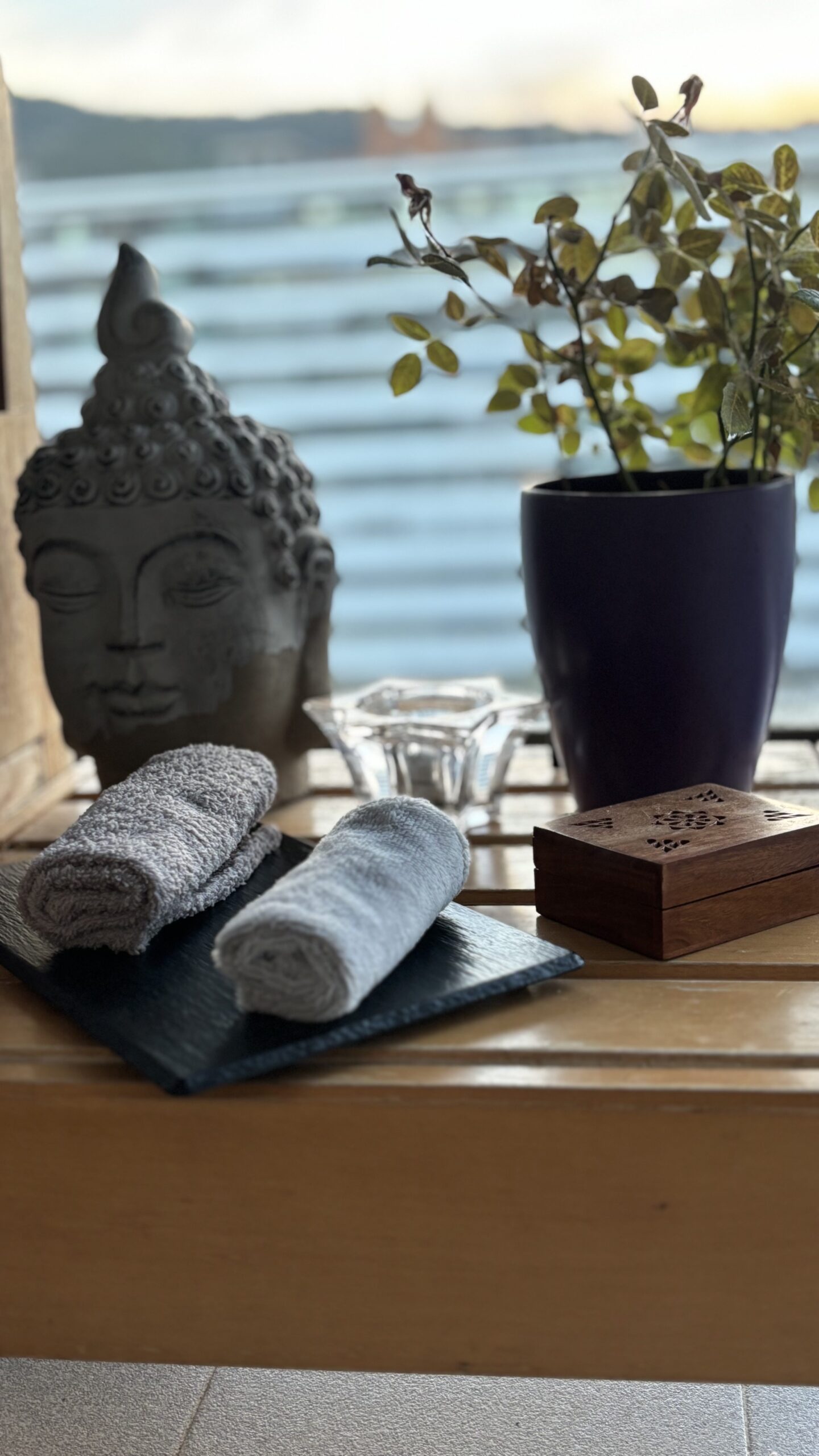 W-oshibori secas_3 low